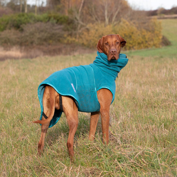 Collared Creatures - Perfectly Practical Dog Drying Coat - Available in 3 Colours