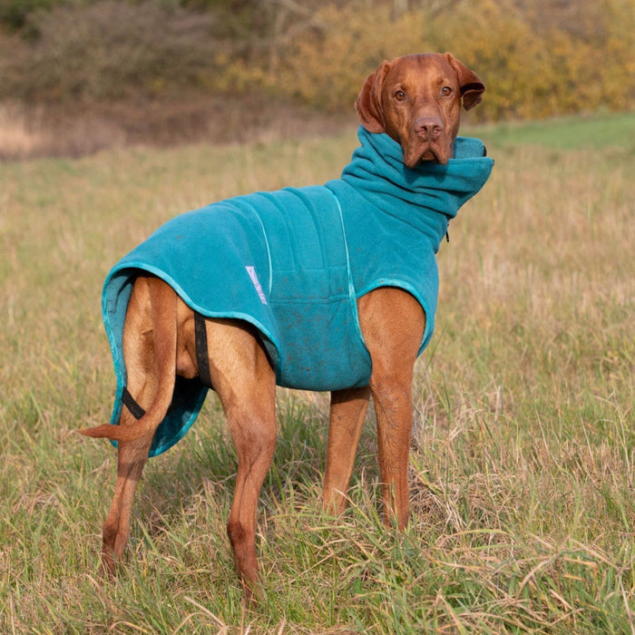 Teal Superior Perfectly Practical Dog Drying Coat