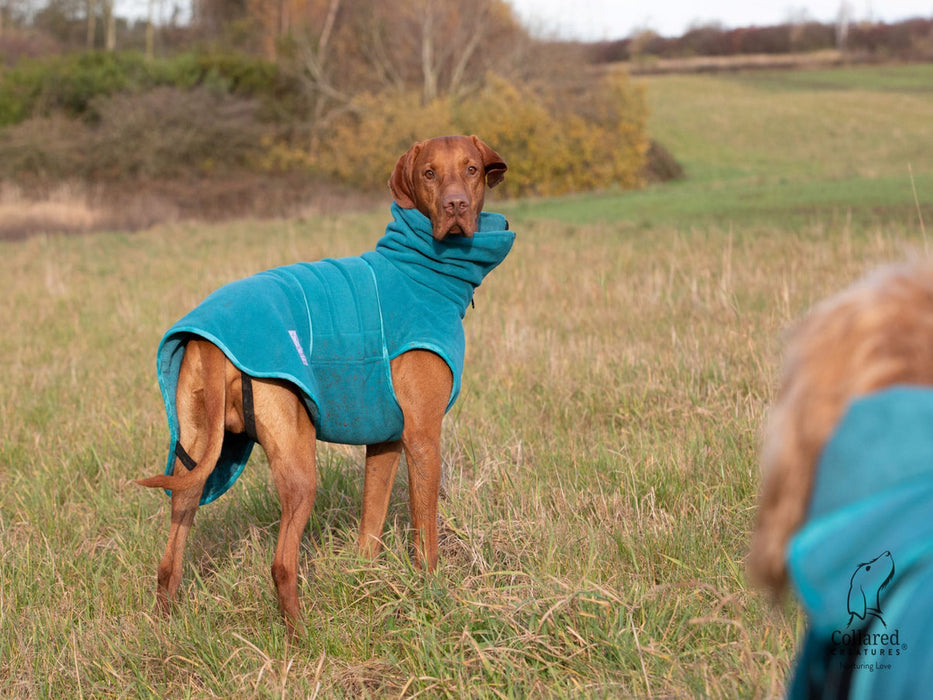 Collared Creatures - Perfectly Practical Dog Drying Coat - Available in 3 Colours