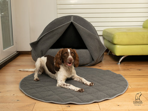 Collared Creatures - Grey Deluxe Cocoon Luxury Cave Dog Bed