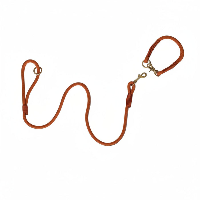 Fox Orange Handmade Rope Dog Collar with whipping