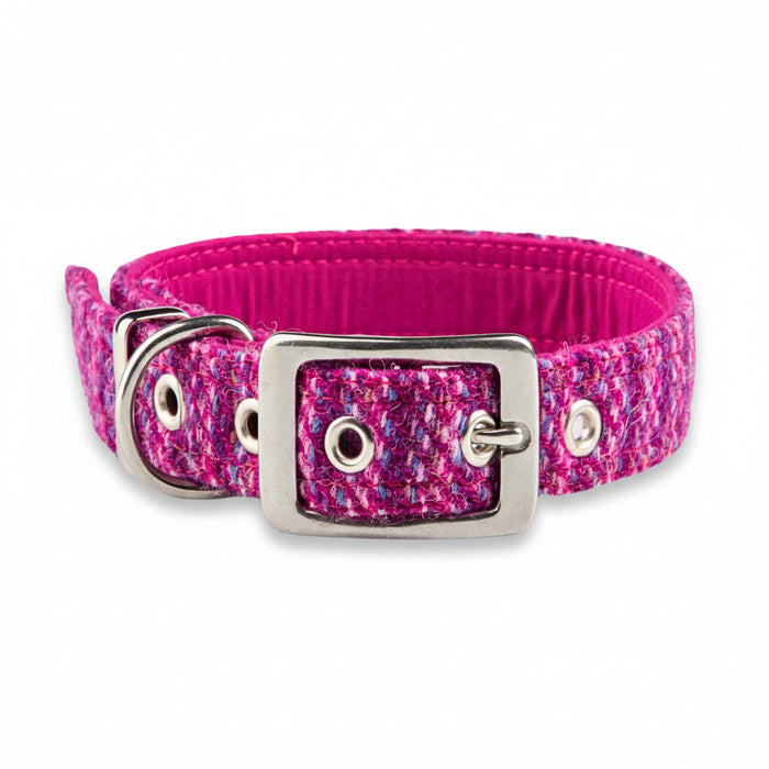 Pink Koana - Buckle Fastening Luxury Harris Tweed Dog Collar