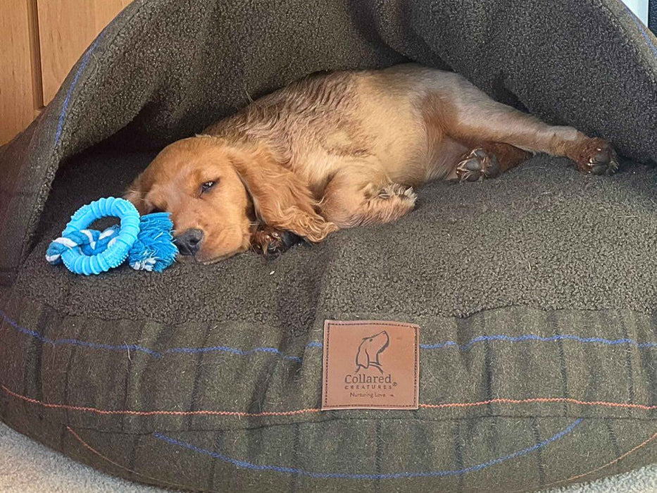 Collared Creatures - Green Tweed Cave Luxury Dog Bed