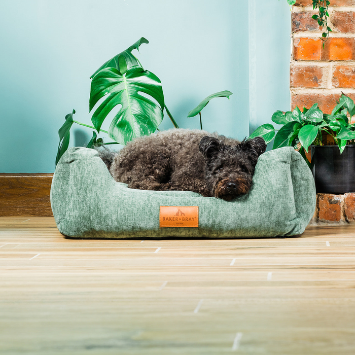 The Ultimate - Eco Friendly Orthopaedic Luxury Dog Bed, Sage Green