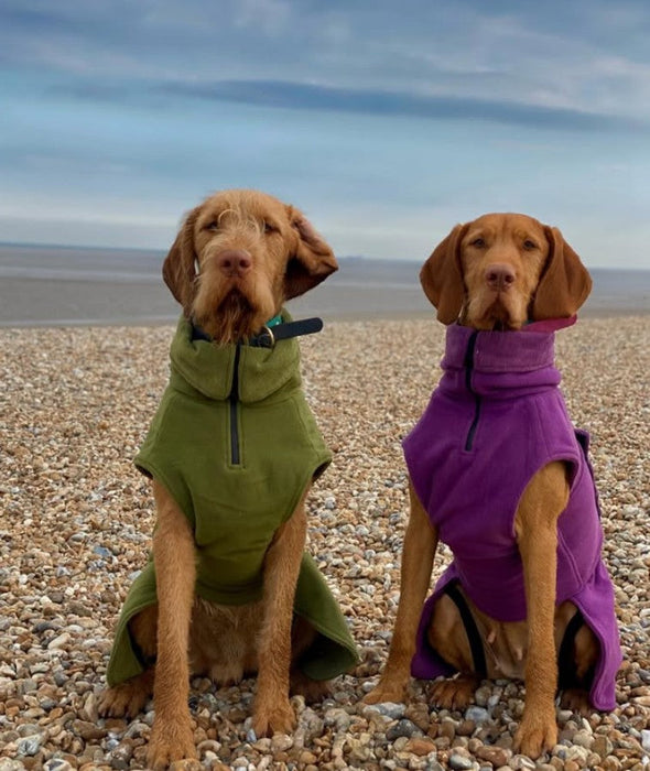 Green Superior Perfectly Practical Dog Drying Coat