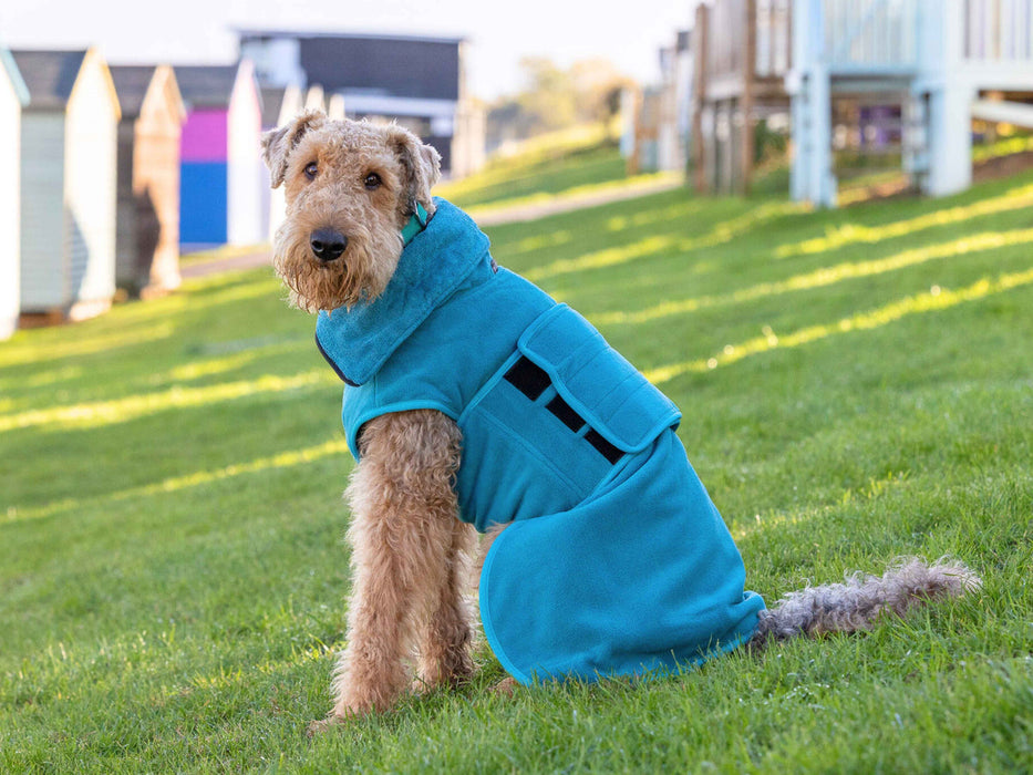 Collared Creatures - Perfectly Practical Dog Drying Coat - Available in 3 Colours