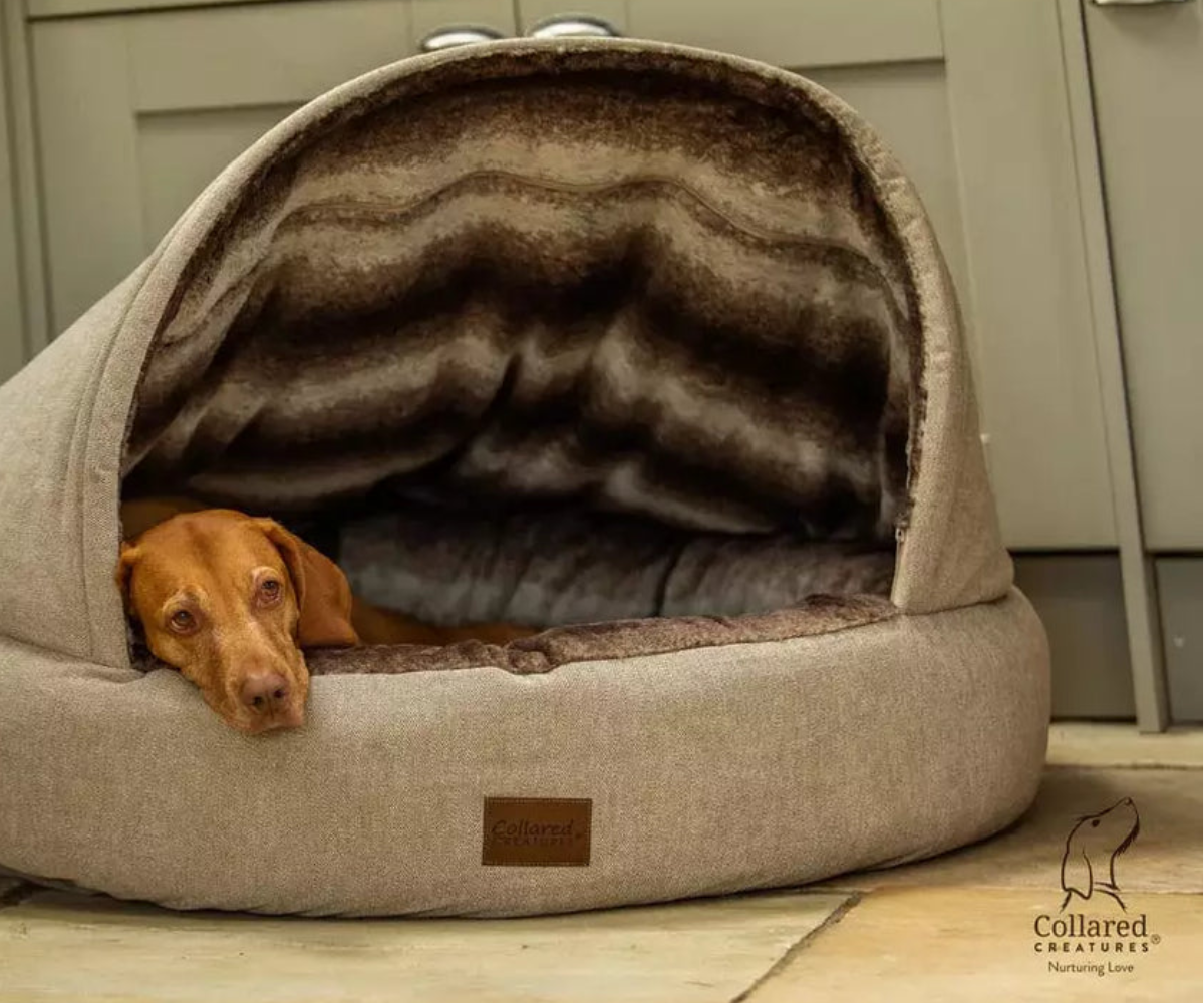 Luxury Mid Large Dog Beds Pet Shop Online Pet Prestige UK
