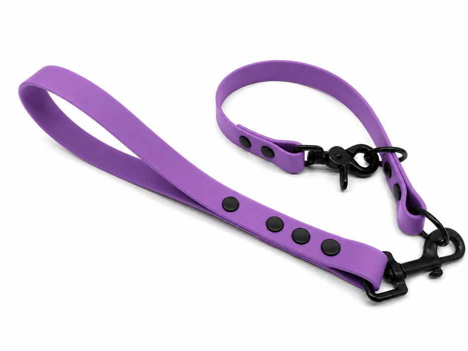 Amethyst Waterproof Biothane Slip Dog Collar