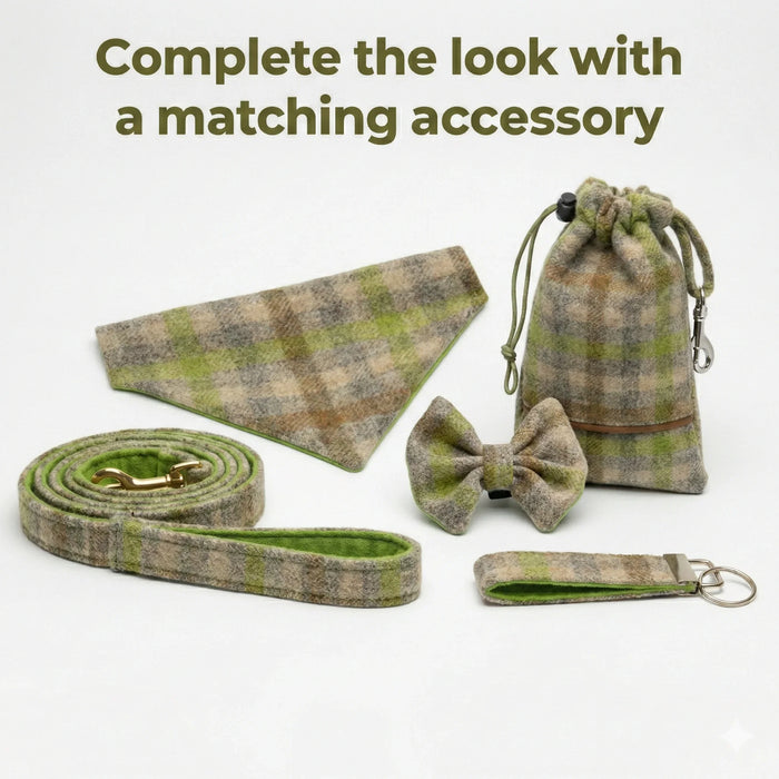 Bibury Lichen - Buckle Fastening Luxury Abraham Moon Tweed Dog Collar
