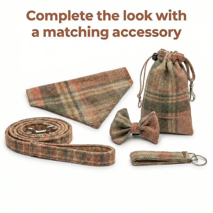 Glen Coe Terracotta - Buckle Fastening Luxury Abraham Moon Tweed Dog Collar