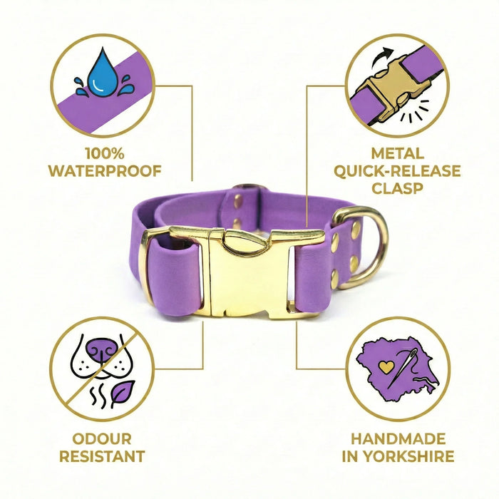 Amethyst Waterproof Biothane Metal Clasp Dog Collar