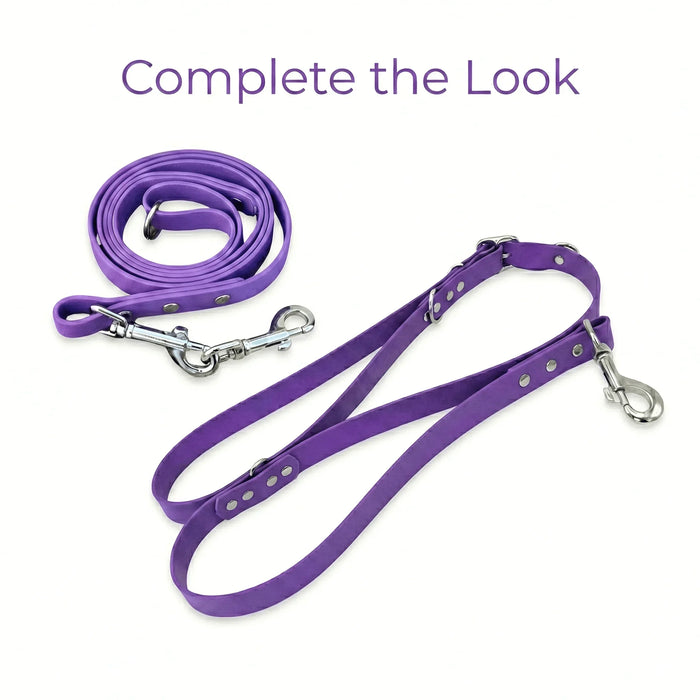 Amethyst Waterproof Biothane Metal Clasp Dog Collar