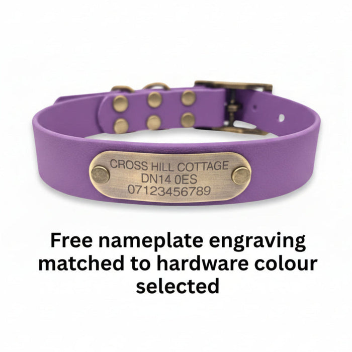 Amethyst Waterproof Biothane Buckle Dog Collar
