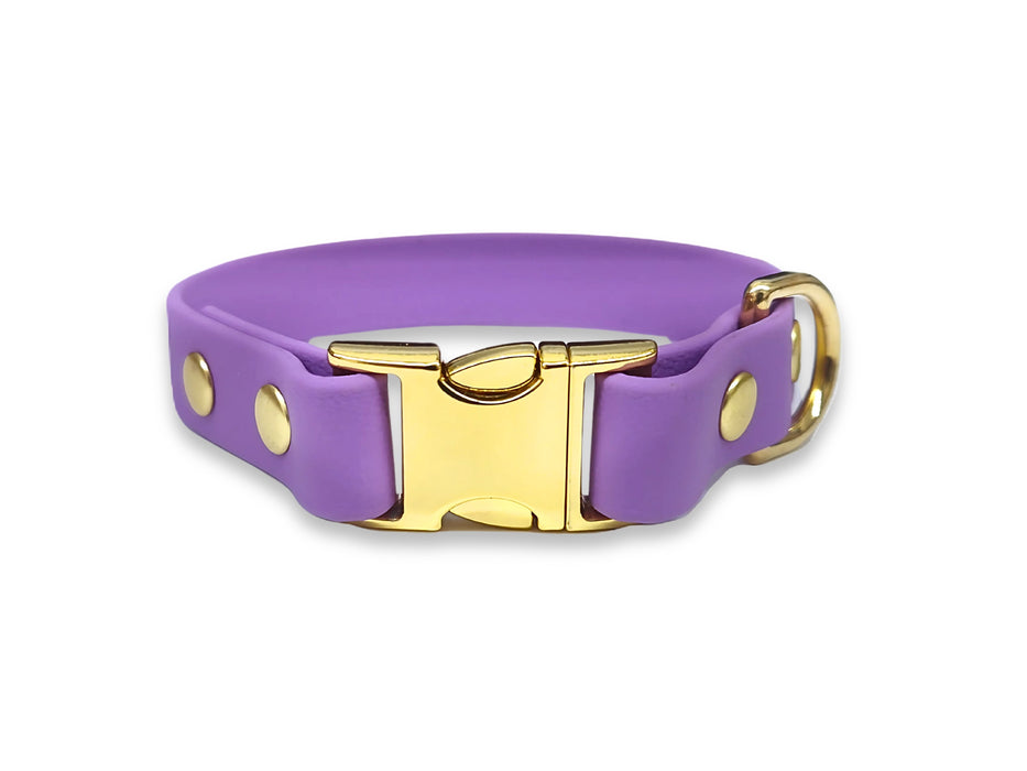 Amethyst Small Breed Waterproof Biothane Dog Collar 21cm to 28cm Neck