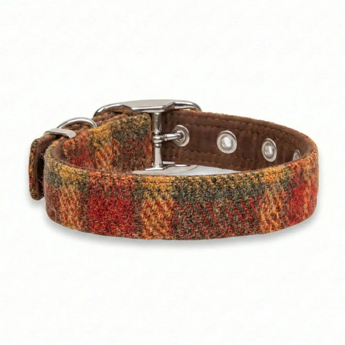 Autumnal Check - Buckle Fastening Luxury Harris Tweed Dog Collar