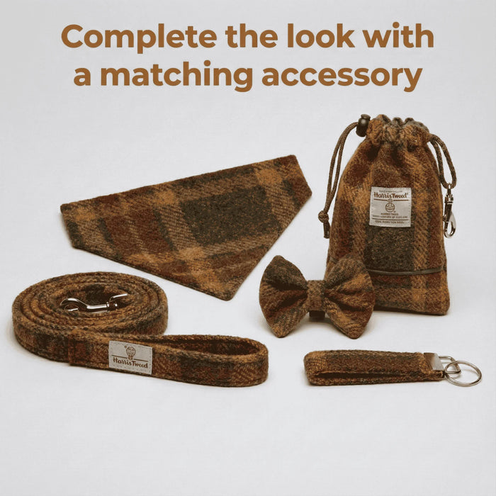 Autumnal Check - Buckle Fastening Luxury Harris Tweed Dog Collar