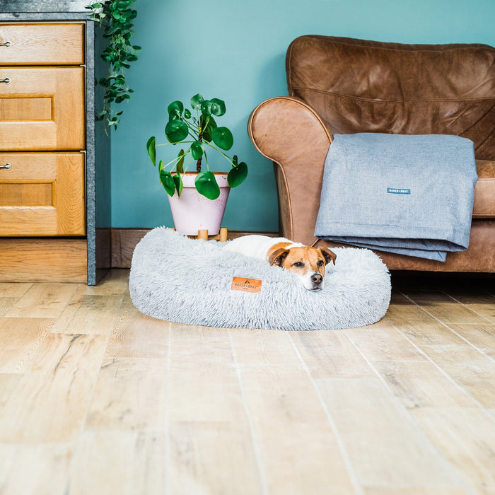 The Donut - Eco Friendly Luxury Calming Donut Dog Bed, Light Grey