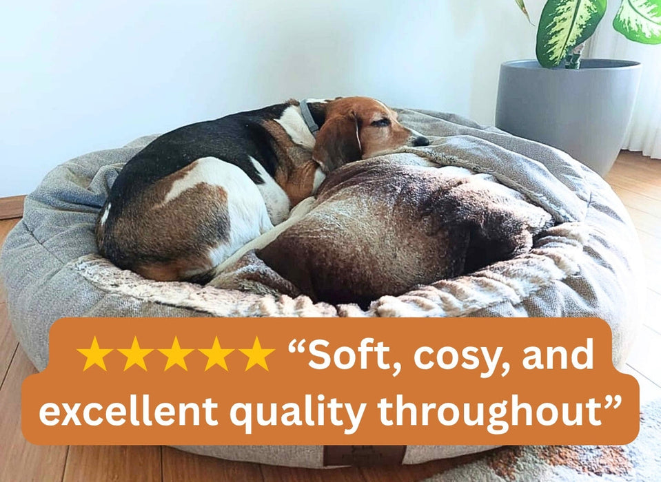 Beige Classic Comfort Cocoon Dog Bed (cushion base)