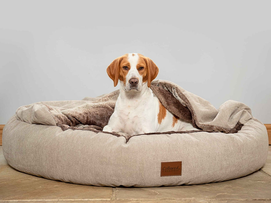 Beige Classic Comfort Cocoon Dog Bed (cushion base)