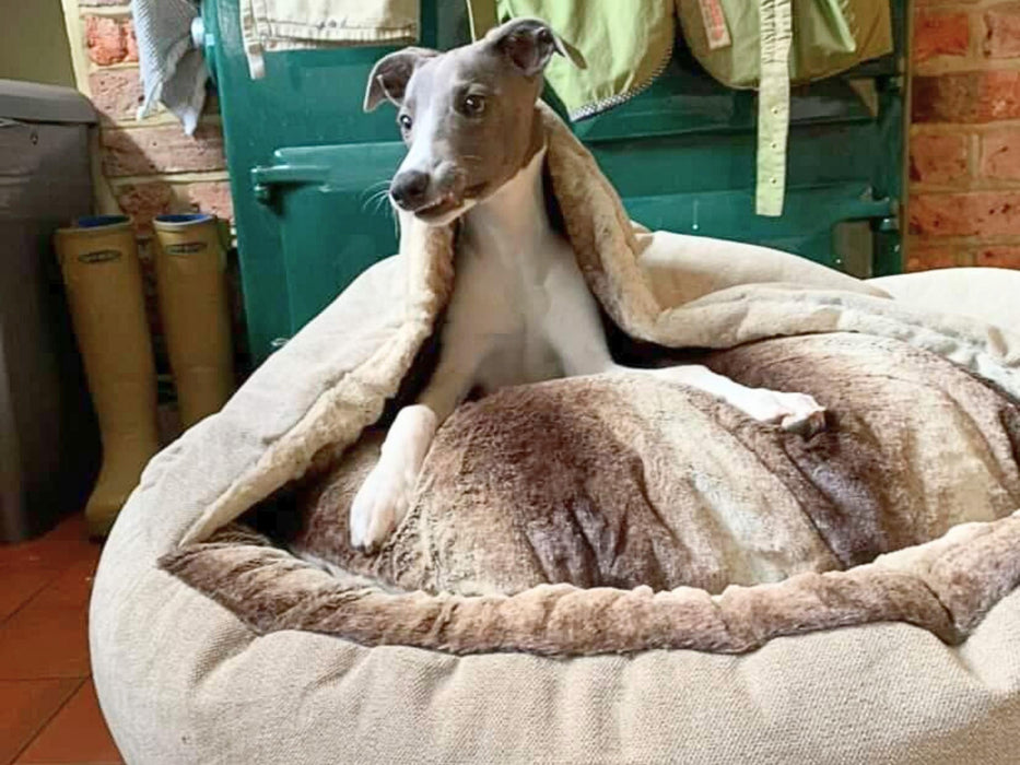 Beige Classic Comfort Cocoon Dog Bed (cushion base)