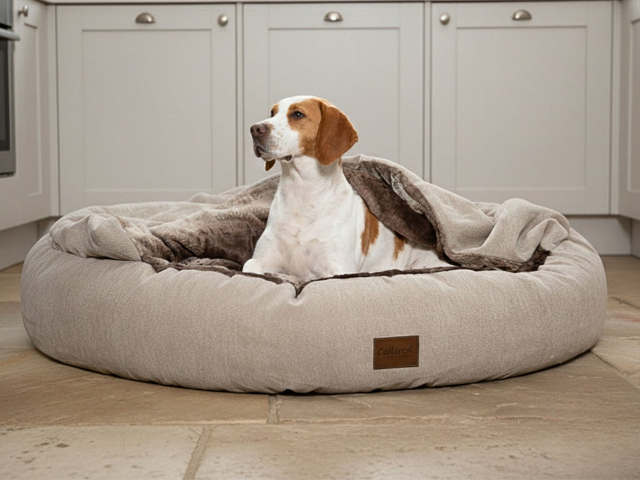 Collared Creatures - Luxury Cocoon Cushion Round Dog Bed - Beige