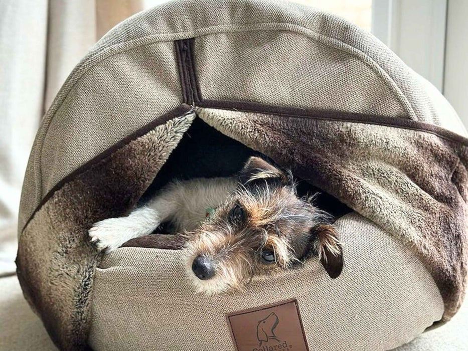 Beige Deluxe Comfort Cocoon Dog Bed