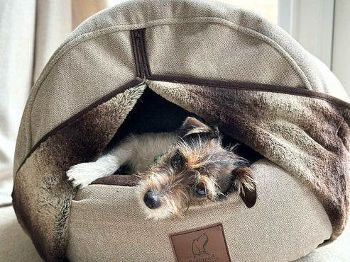 Collared Creatures - The Beige Deluxe Cocoon Dog Cave Bed