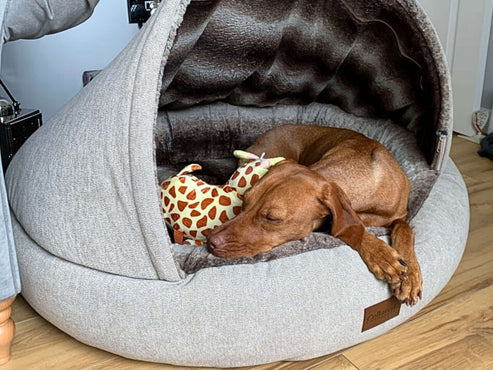 Collared Creatures - The Beige Deluxe Cocoon Dog Cave Bed