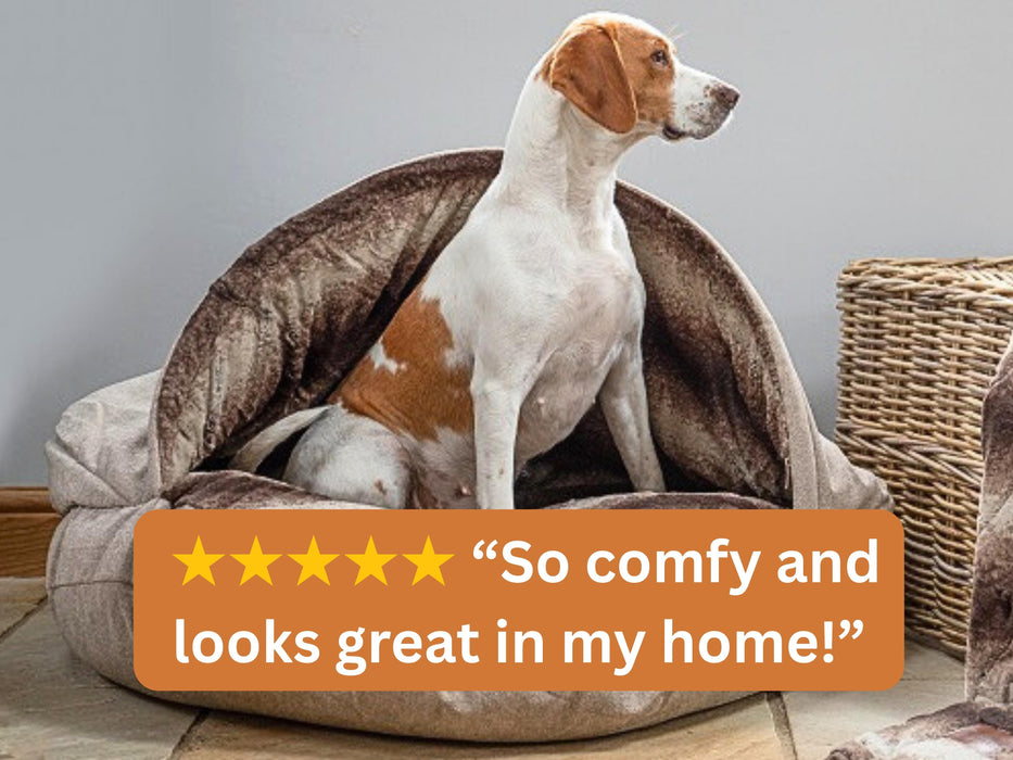 Beige Luxury Dog Cave Bed with Removable Firm hood