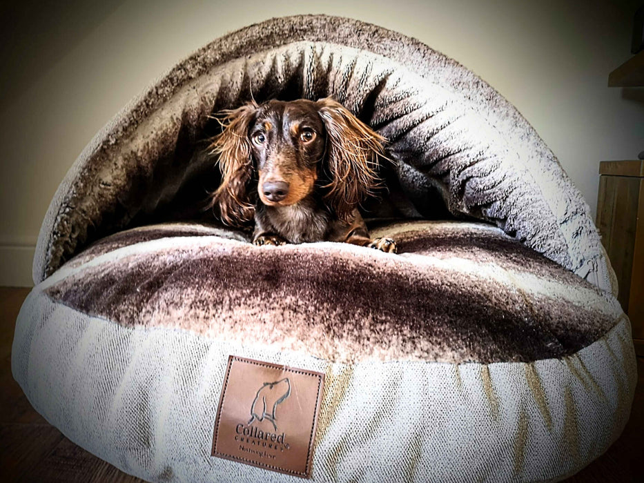 Beige Luxury Dog Cave Bed with Removable Firm hood