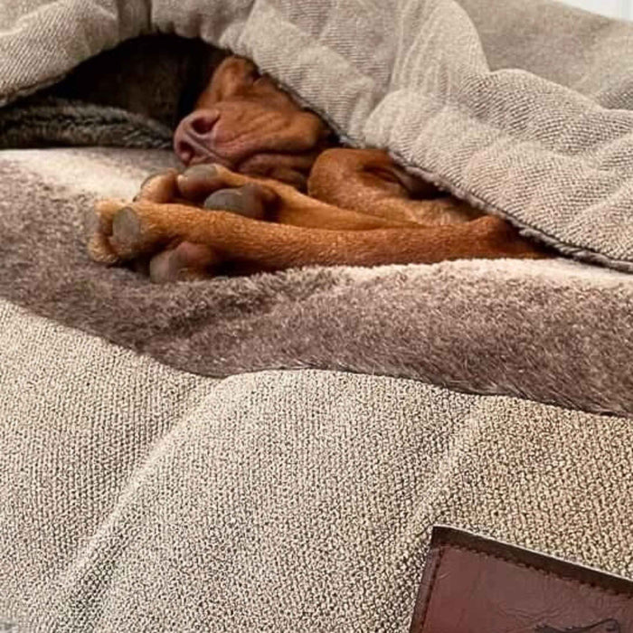 Beige Luxury Dog Snuggle Bed - Snuggle Sack