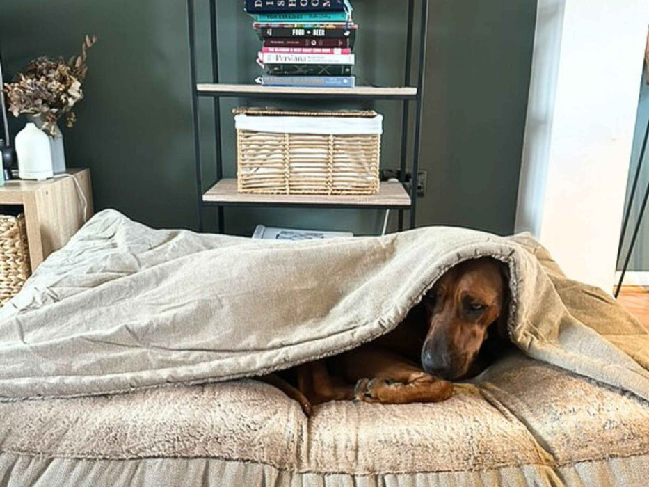 Collared Creatures - Luxury Beige Snuggle Sack / Sleeping Sack Dog Bed