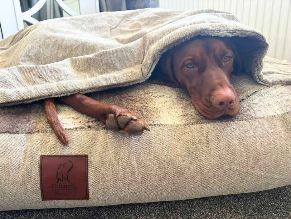 Collared Creatures - Luxury Beige Snuggle Sack / Sleeping Sack Dog Bed