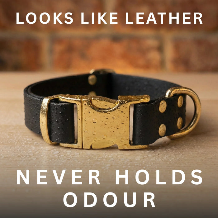 Black Waterproof Biothane Metal Clasp Dog Collar