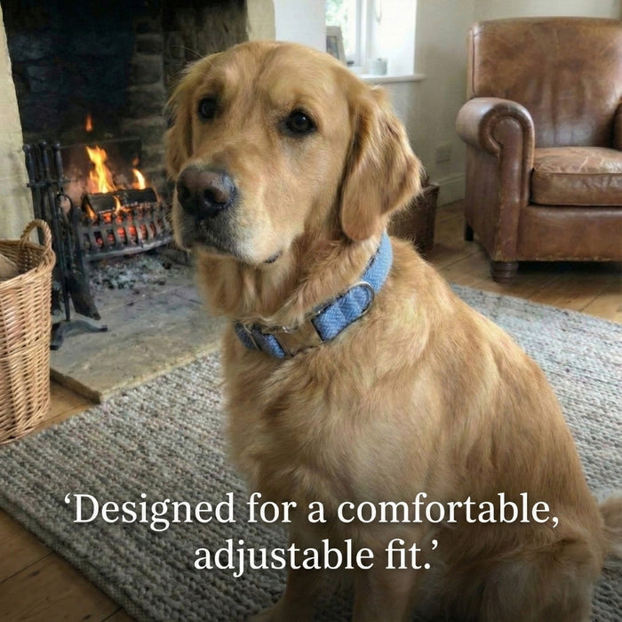 Blue Herringbone Luxury Harris Tweed Dog Collar
