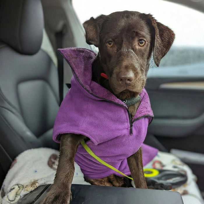 Collared Creatures - Perfectly Practical Dog Drying Coat - Available in 3 Colours