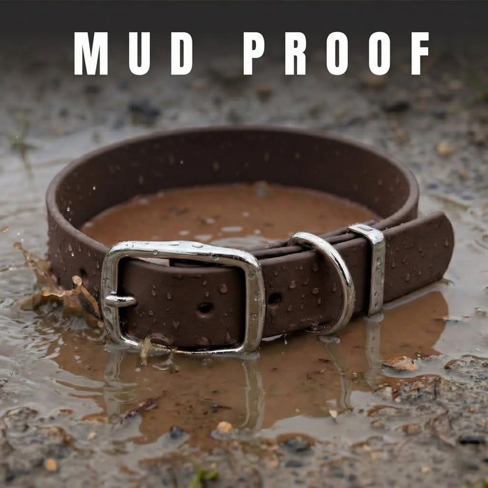 Dark Brown Waterproof Biothane Buckle Dog Collar