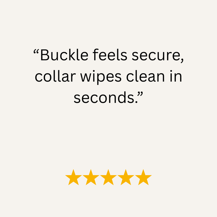 Coral Waterproof Biothane Buckle Dog Collar