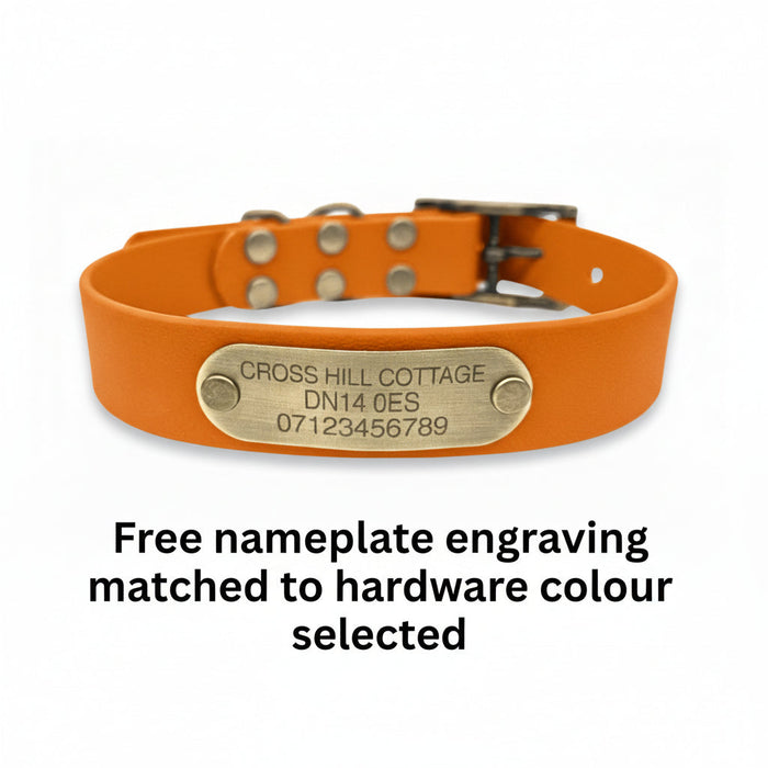 Burnt Orange Waterproof Biothane Buckle Dog Collar