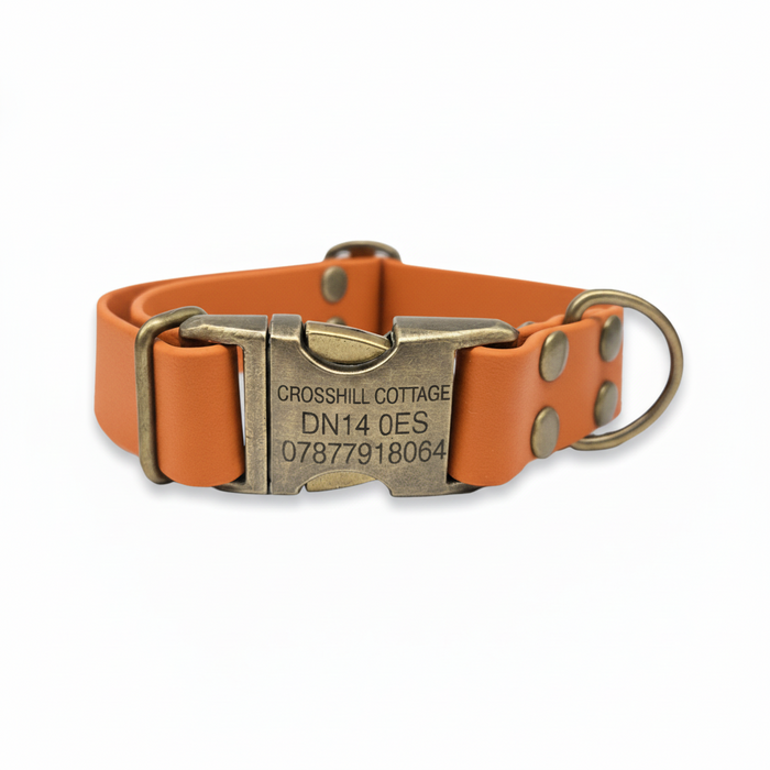 Burnt Orange Waterproof Biothane Metal Clasp Dog Collar