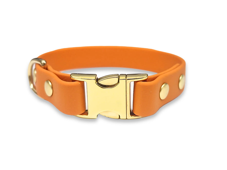 Burnt Orange Small Breed Waterproof Biothane Dog Collar 21cm to 28cm Neck
