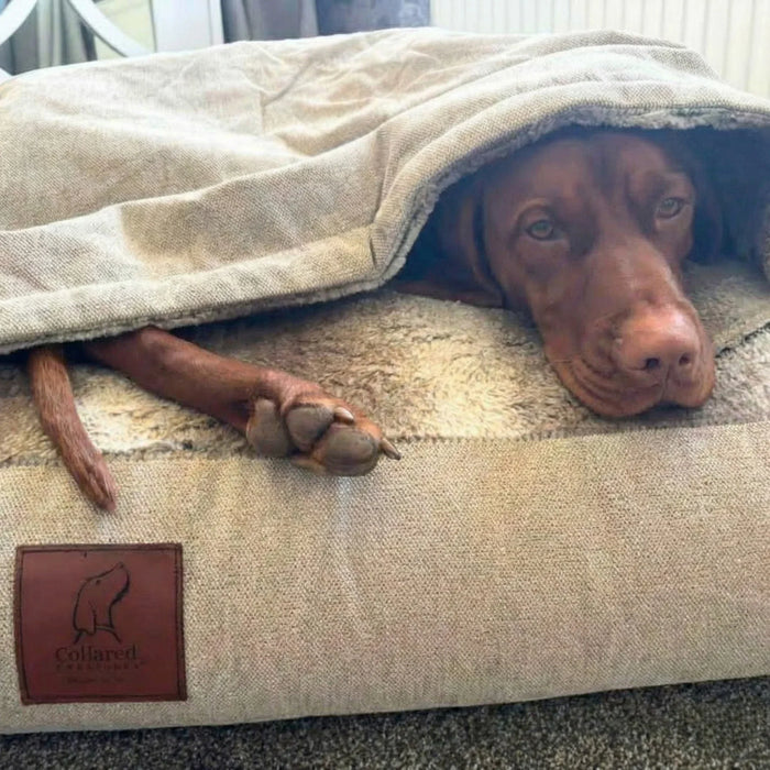 Beige Luxury Dog Snuggle Bed - Snuggle Sack