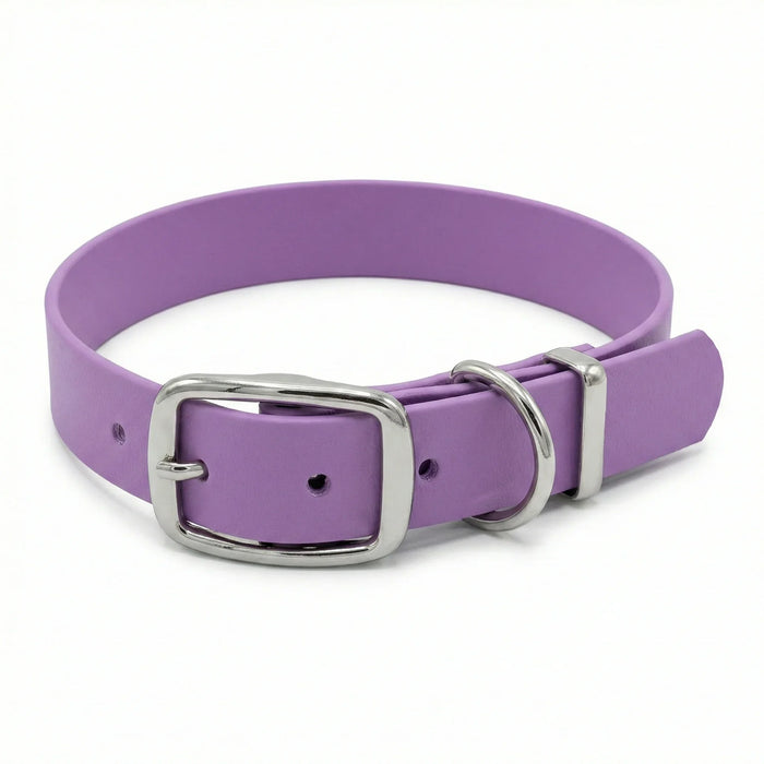 Amethyst Waterproof Biothane Buckle Dog Collar