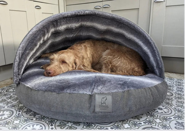 Dog cave deals bed extra large