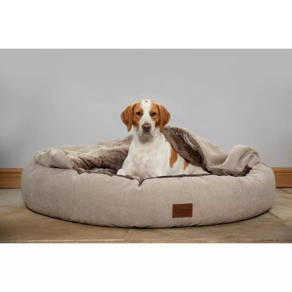 Round dog sales bed cushion