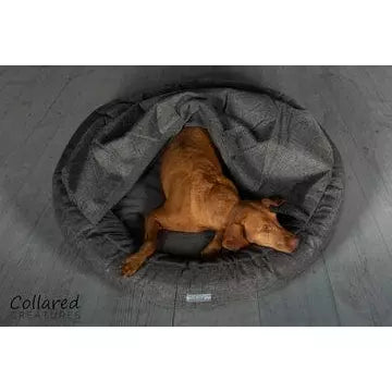 Collared Creatures Beds Collared Creatures - Luxury Grey Cocoon Cushion Round Dog Bed