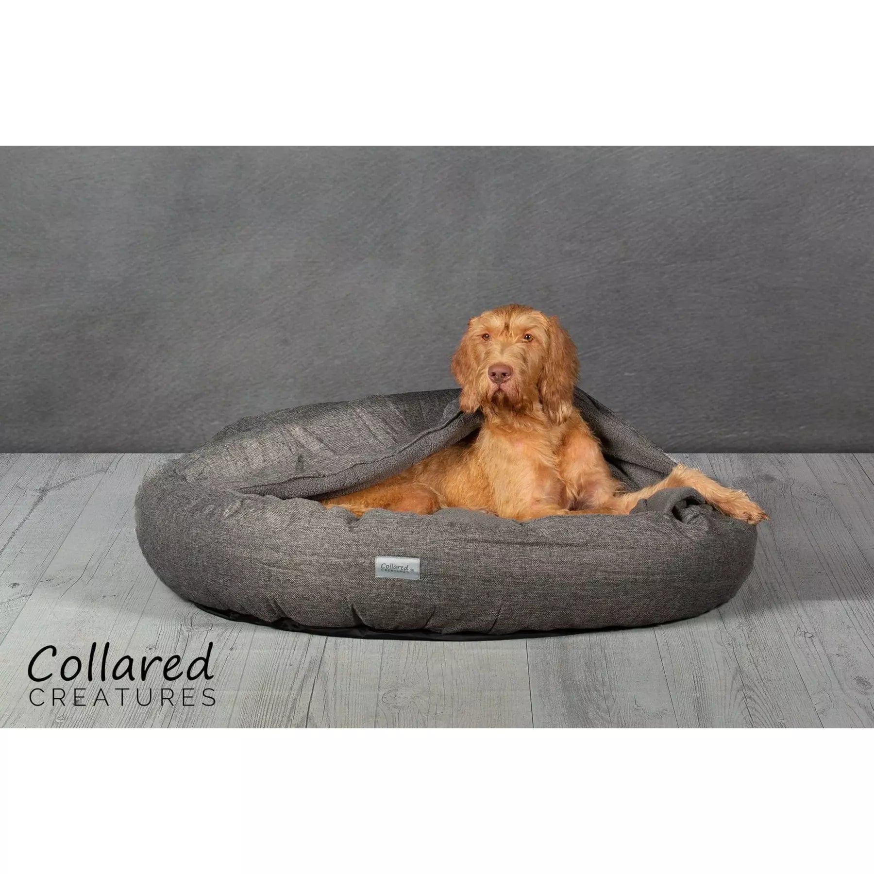 Grey round dog sales bed
