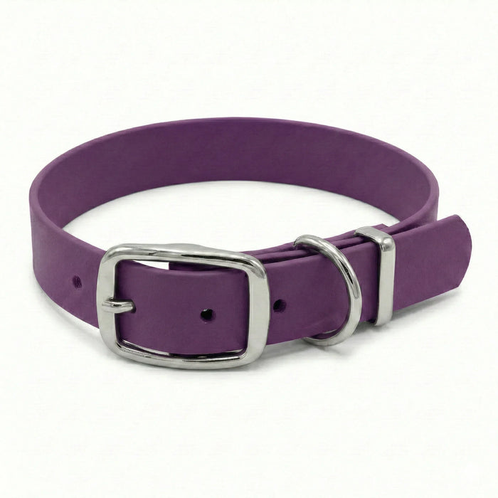 Grape Waterproof Biothane Buckle Dog Collar