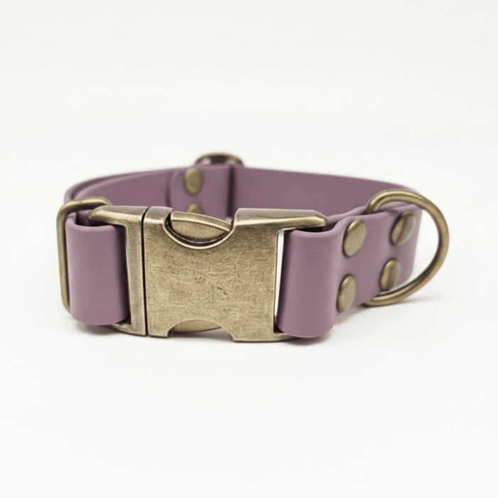 Mauve Waterproof Biothane Metal Clasp Dog Collar