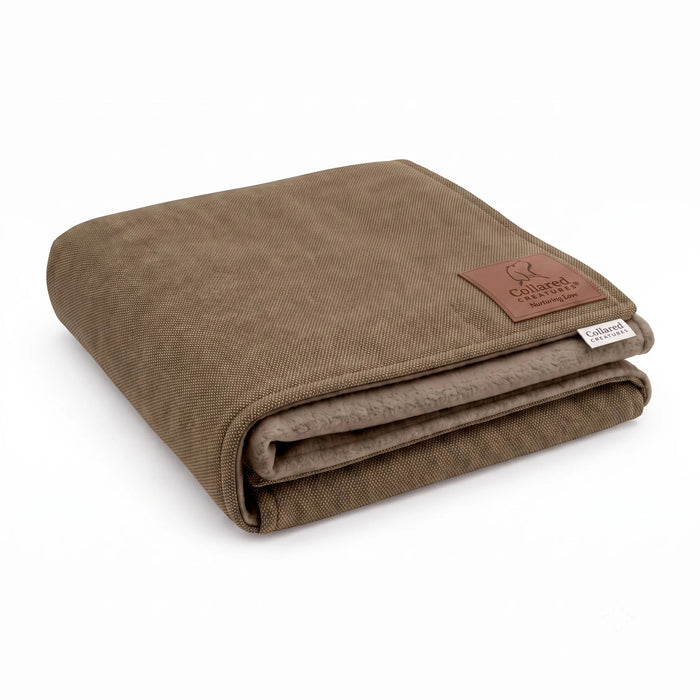Luxury Dog Blanket - Monaco Paddle
